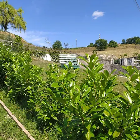 La Tana Dello Scoiattolo - Adults Only ベッド・アンド・ブレックファスト 4*