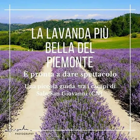 La Tana Dello Scoiattolo - Adults Only 4*