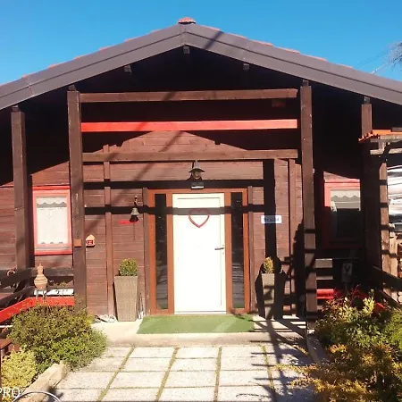 ベッド・アンド・ブレックファスト La Tana Dello Scoiattolo - Adults Only