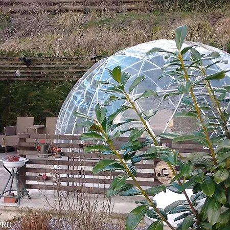 La Tana Dello Scoiattolo - Adults Only ベッド・アンド・ブレックファスト 4*